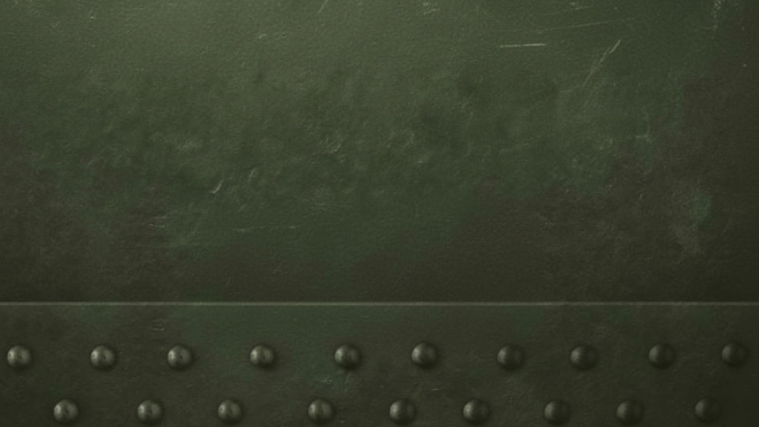 10ème Fête de La Libération